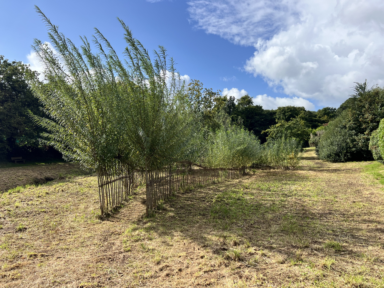 Photo de la trogne Z1HA00A01