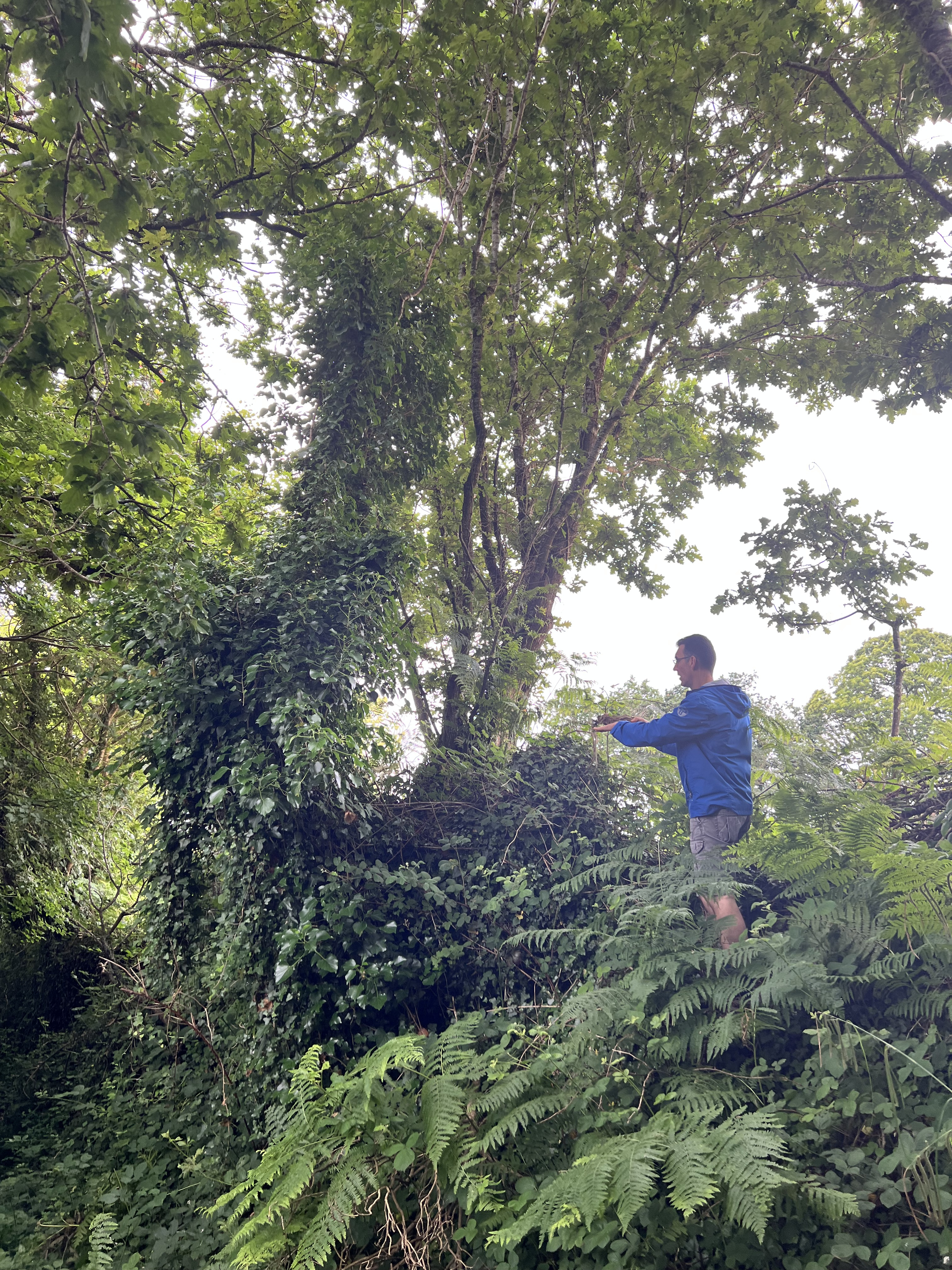 Photo de la trogne Z5CC01A18