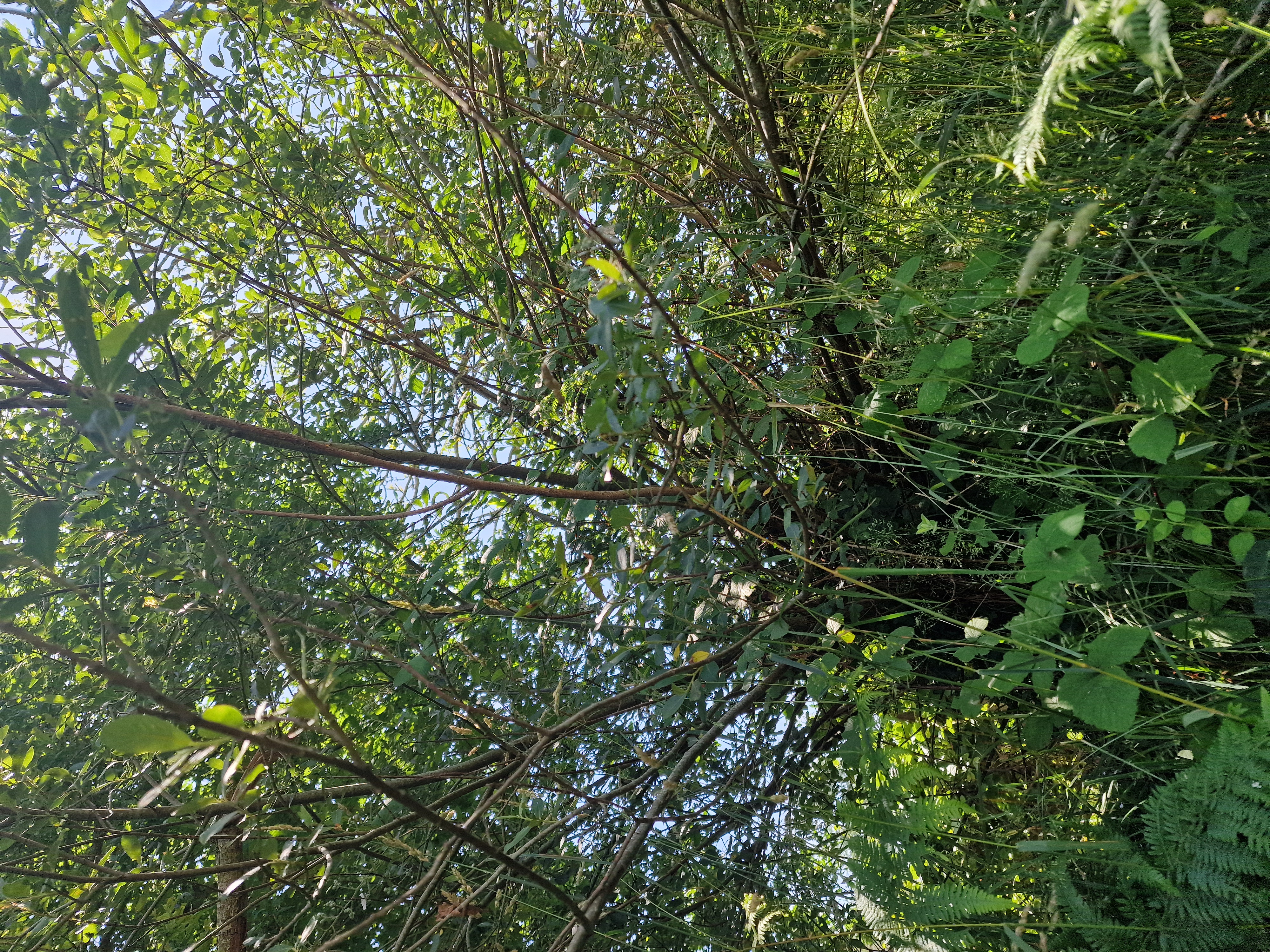 Photo de la trogne ZXHANNA75