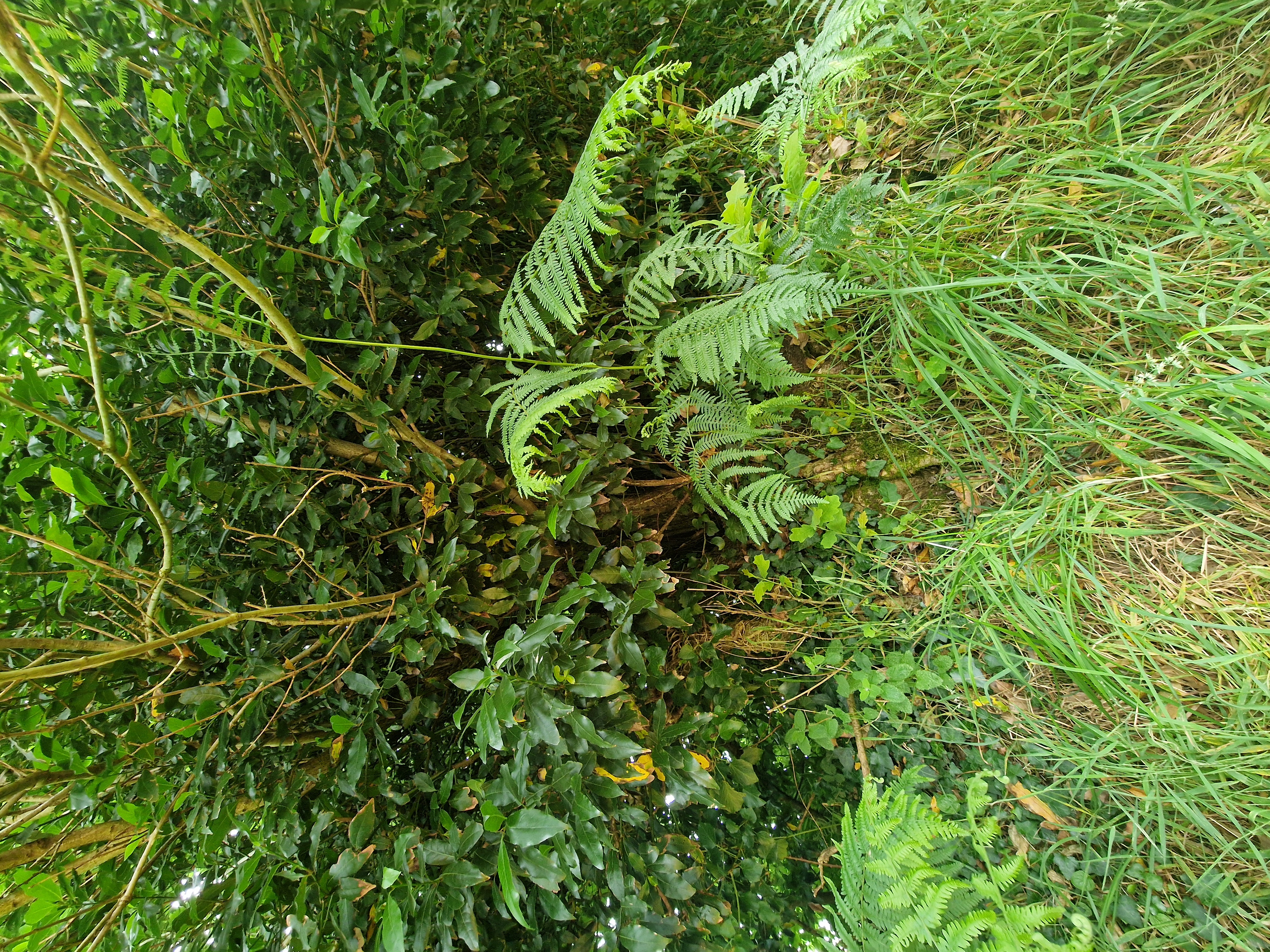 Photo de la trogne ZXHANNA78