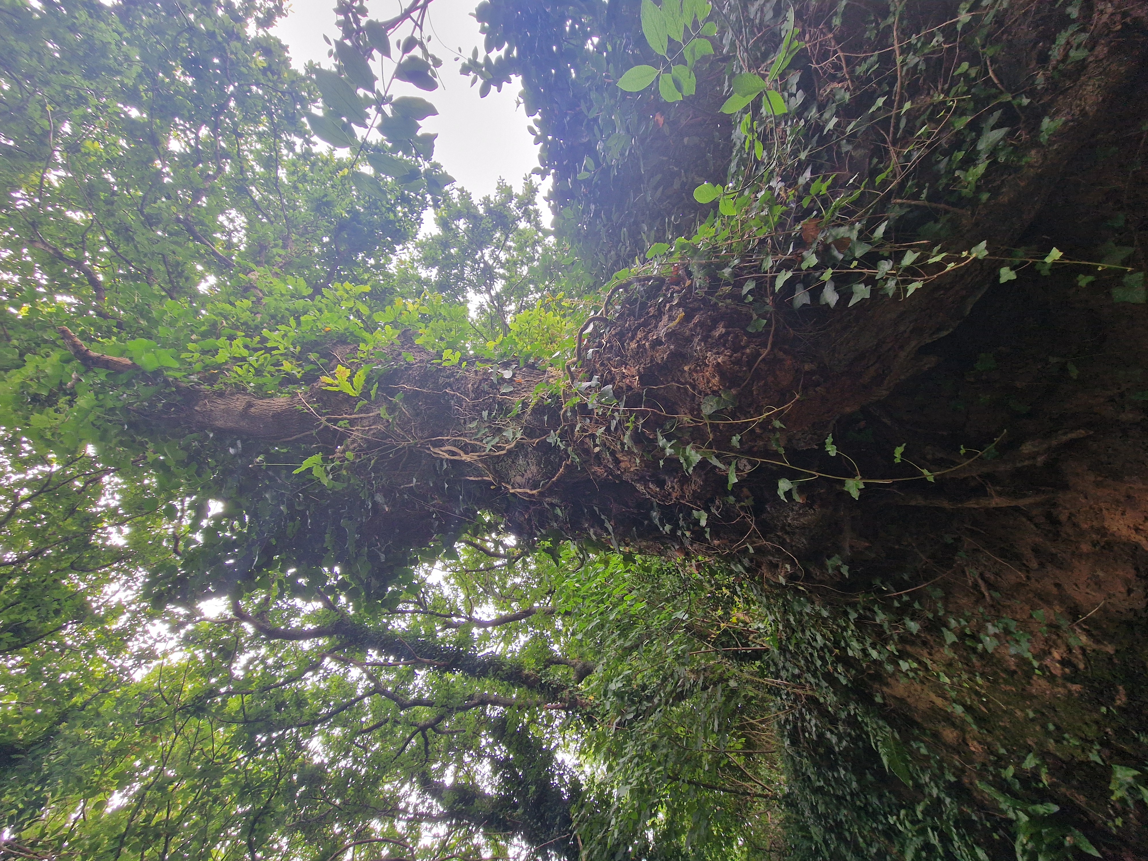 Photo de la trogne ZXHANNA81