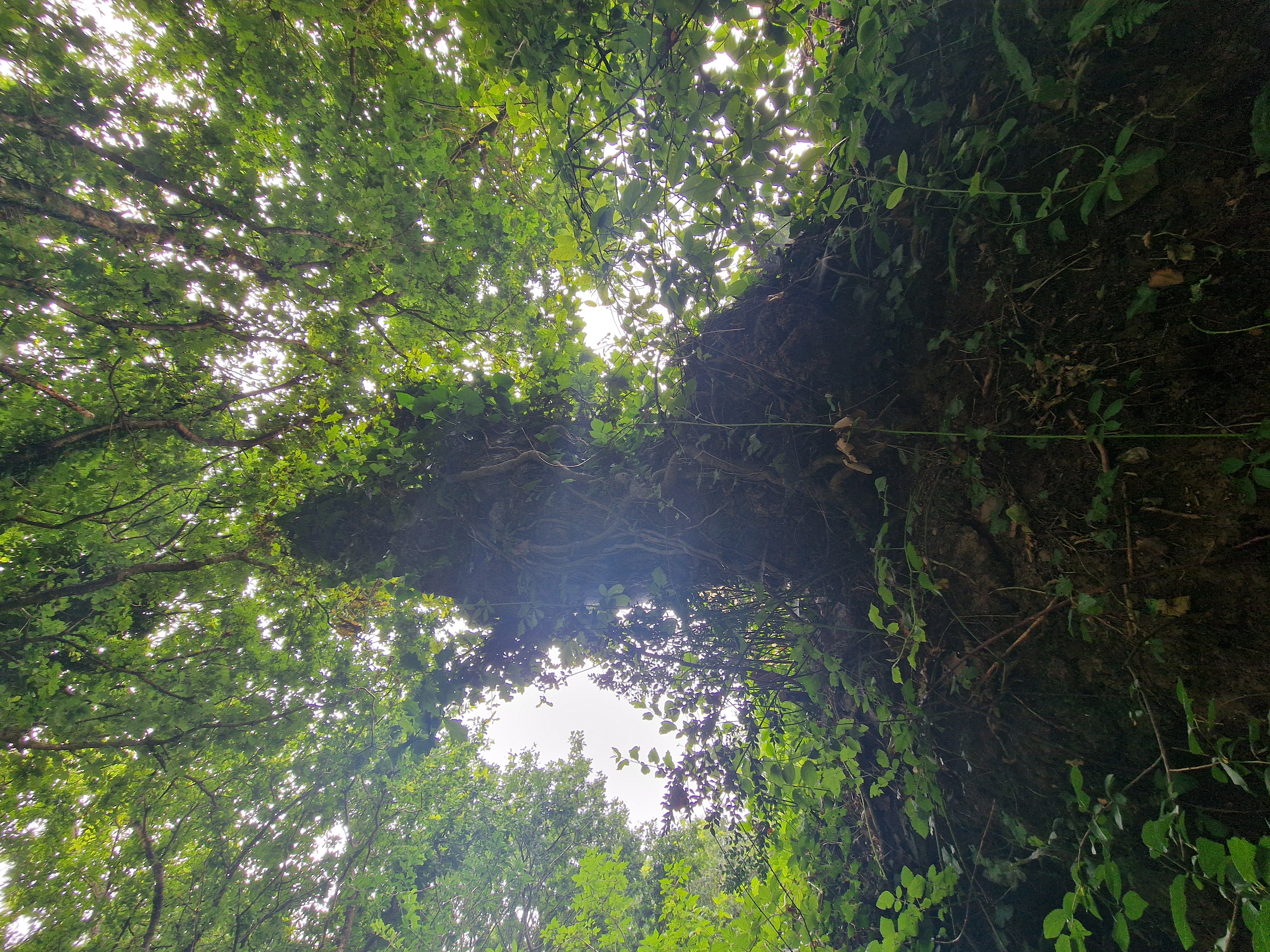 Photo de la trogne ZXHANNA82