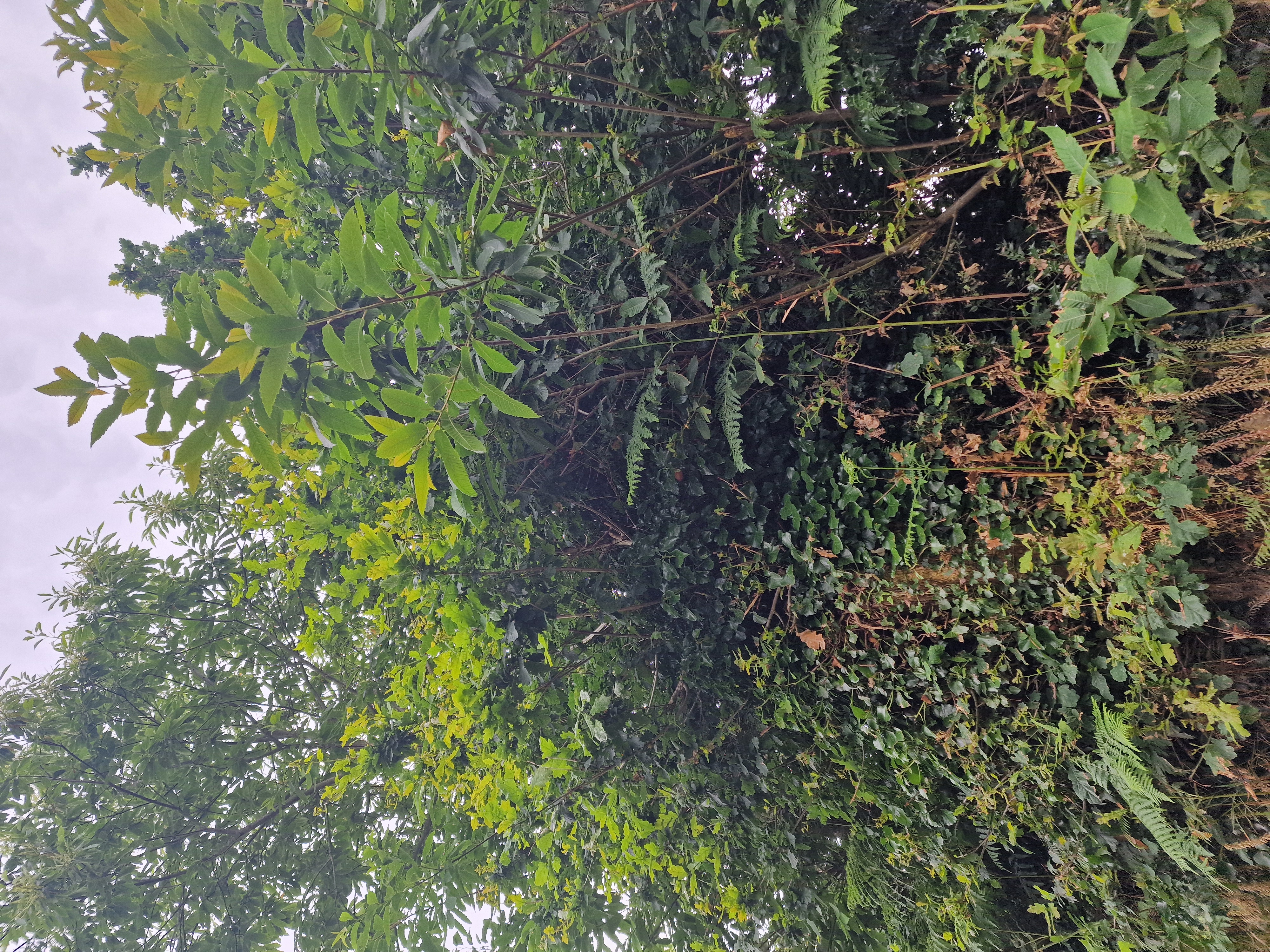 Photo de la trogne ZXHANNA83