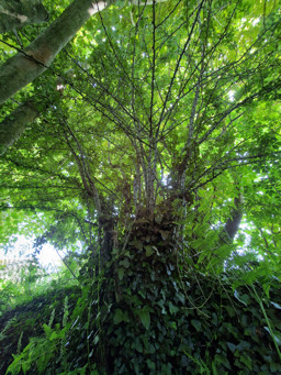 Photo trogne Z1HA02A38