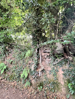 Photo trogne Z5CC01A14