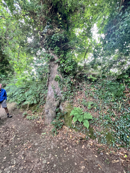 Photo trogne Z5CC01A15