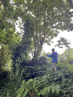 Photo trogne Z5CC01A18