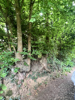 Photo trogne Z5CC01A27