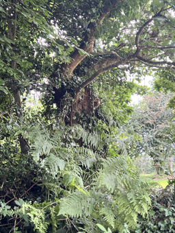 Photo trogne Z5CC01A28