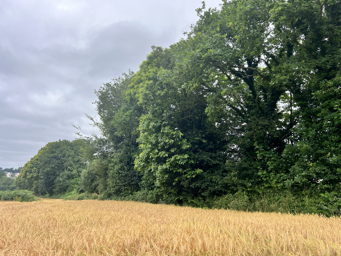 Photo trogne Z5CC01A34