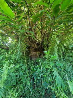 Photo trogne Z5HA21A49