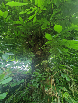 Photo trogne ZXHANNA77