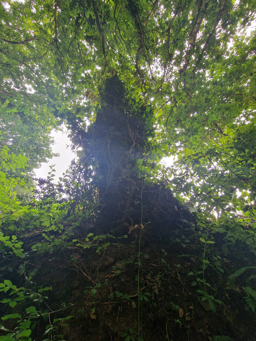 Photo trogne ZXHANNA82