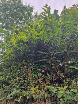 Photo trogne ZXHANNA83