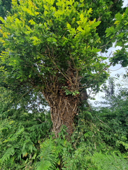 Photo trogne ZXHANNA84